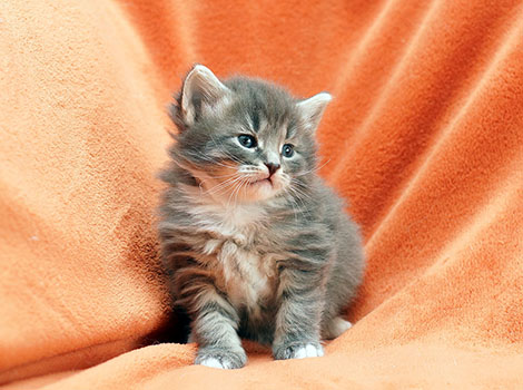 Freddy am 28.03.2021